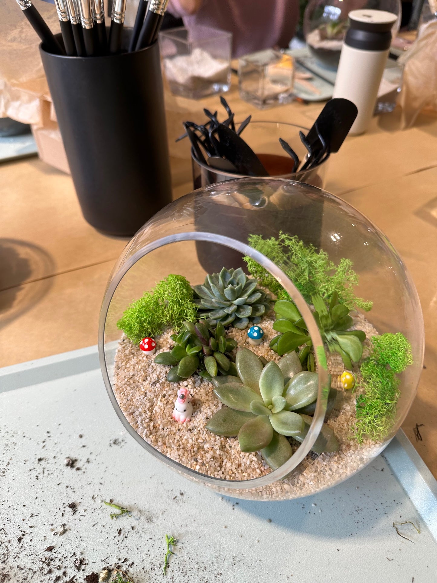 Miniature Succulent Terrarium Workshop