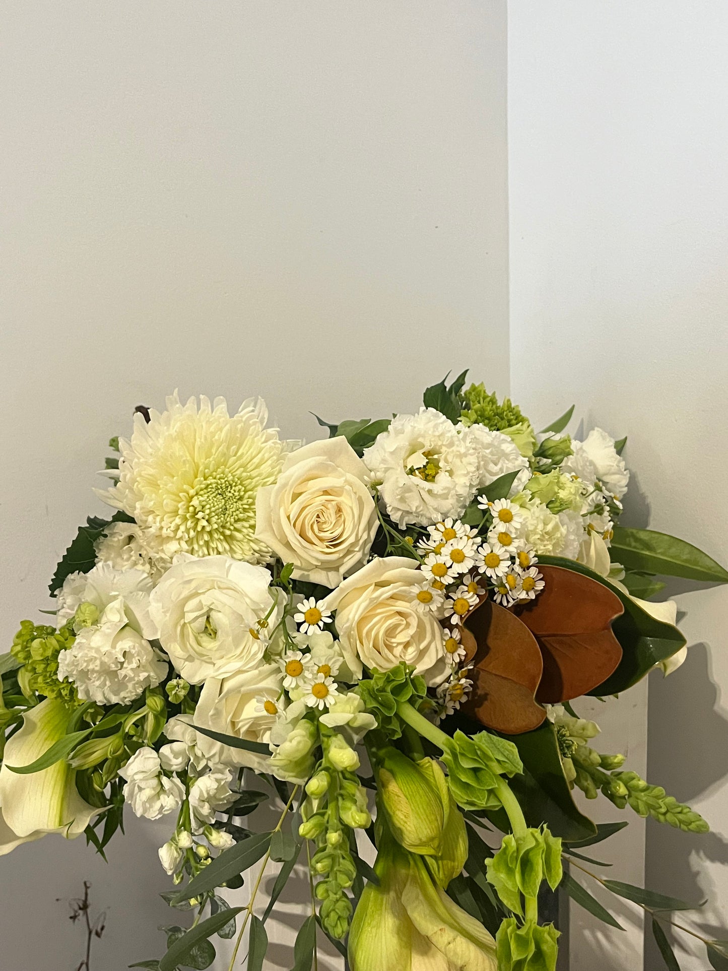 Winter Meadow Whisper