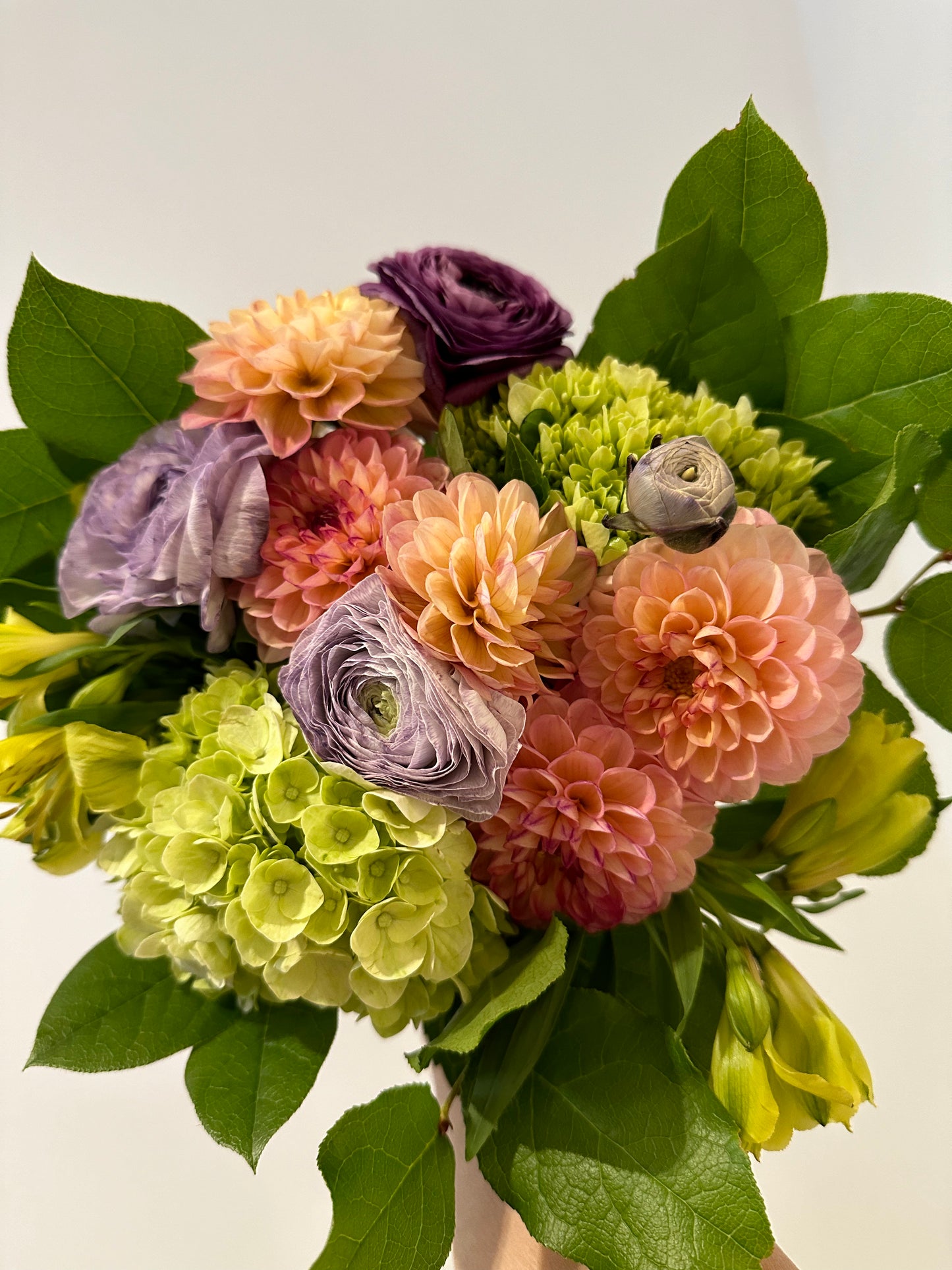 Darling Dahlia & Ranunculus Bouquet