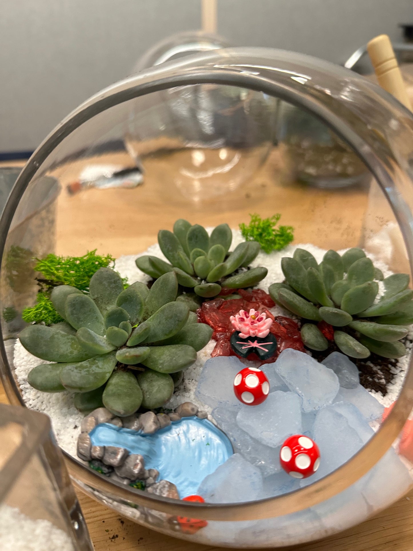 DIY Terrarium Workshop