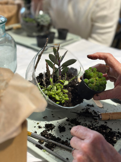 Mini Succulent Terrarium Building Workshop