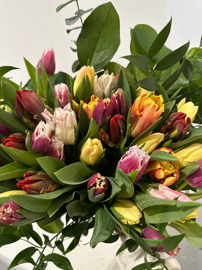 Fancy Holland Tulip Bouquet (20-stems)