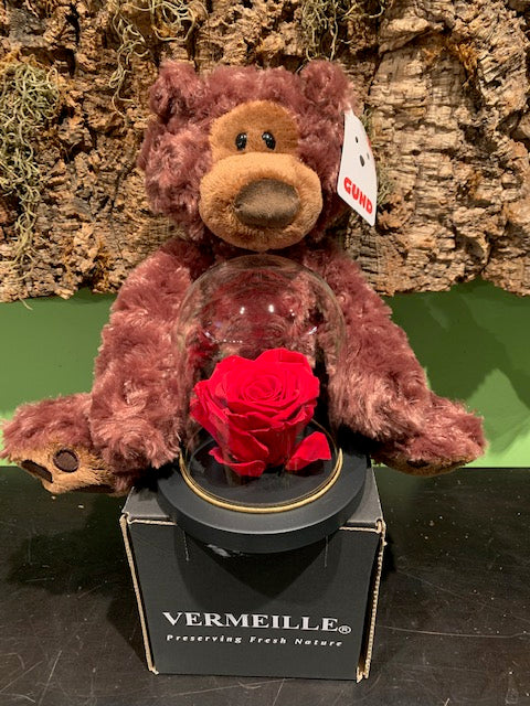 Forever (Preserved) Rose and Teddy Bundle